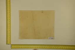 [21-4050-21-042] DINA Parchment sheet for digital printing 30 x 40 Cm ID.042