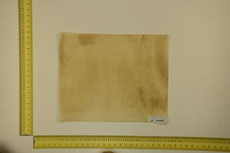 [21-4050-21-019] DINA Parchment sheet for digital printing 30 x 40 Cm ID.019