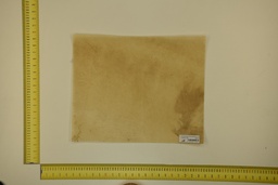 [21-4050-21-026] DINA Parchment sheet for digital printing 30 x 40 Cm ID.026