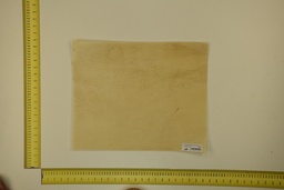 [21-4050-21-021] DINA Parchment sheet for digital printing 30 x 40 Cm ID.021