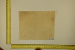 [21-4050-21-016] DINA Parchment sheet for digital printing 30 x 40 Cm ID.016