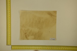 [21-4050-21-047] DINA Parchment sheet for digital printing 30 x 40 Cm ID.047