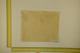 [21-4050-21-053] DINA Parchment sheet for digital printing 30 x 40 Cm ID.053