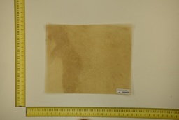 [21-4050-21-055] DINA Parchment sheet for digital printing 30 x 40 Cm ID.055