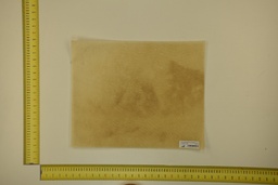 [21-4050-21-057] DINA Parchment sheet for digital printing 30 x 40 Cm ID.057