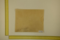 [21-4050-21-066] DINA Parchment sheet for digital printing 30 x 40 Cm ID.066