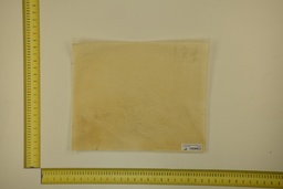 [21-4050-21-068] DINA Parchment sheet for digital printing 30 x 40 Cm ID.068