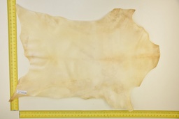 [24-0001-03-010] Natural goatling skin ID.010