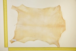 [24-0001-03-011] Natural goatling skin ID.011