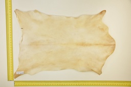 [24-0001-03-012] Natural goatling skin ID.012