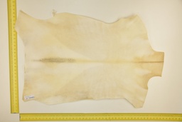 [24-0001-02-006] White goatling skin ID.006