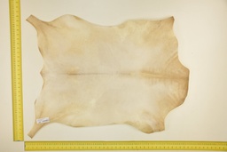 [24-0001-02-007] White goatling skin ID.007