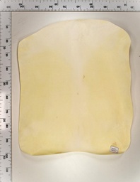 [22.-0000-02-063] Cordero Blanco 22-0000-02-063