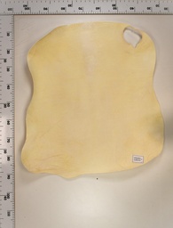 [22-0000-02-076] Cordero Blanco 22-0000-02-076