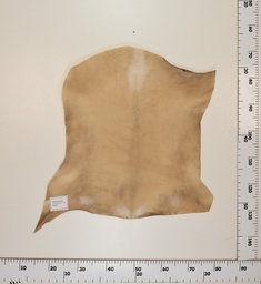 [24-0001-010] Cabrito Marrón ID010