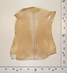 [24-0001-030] Cabrito Marrón ID030