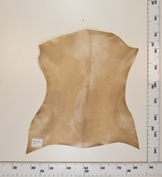 [24-0001-037] Cabrito Marrón ID037