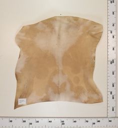 [24-0001-042] Cabrito Marrón ID042