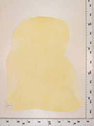 [22-0001-00-031] Cordero Natural ID031