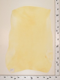 [22-0001-00-032] Cordero Natural ID032