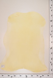 [22-0001-00-062] Cordero Natural ID062