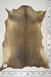 [22-0001-17-026] Cordero Negro ID026